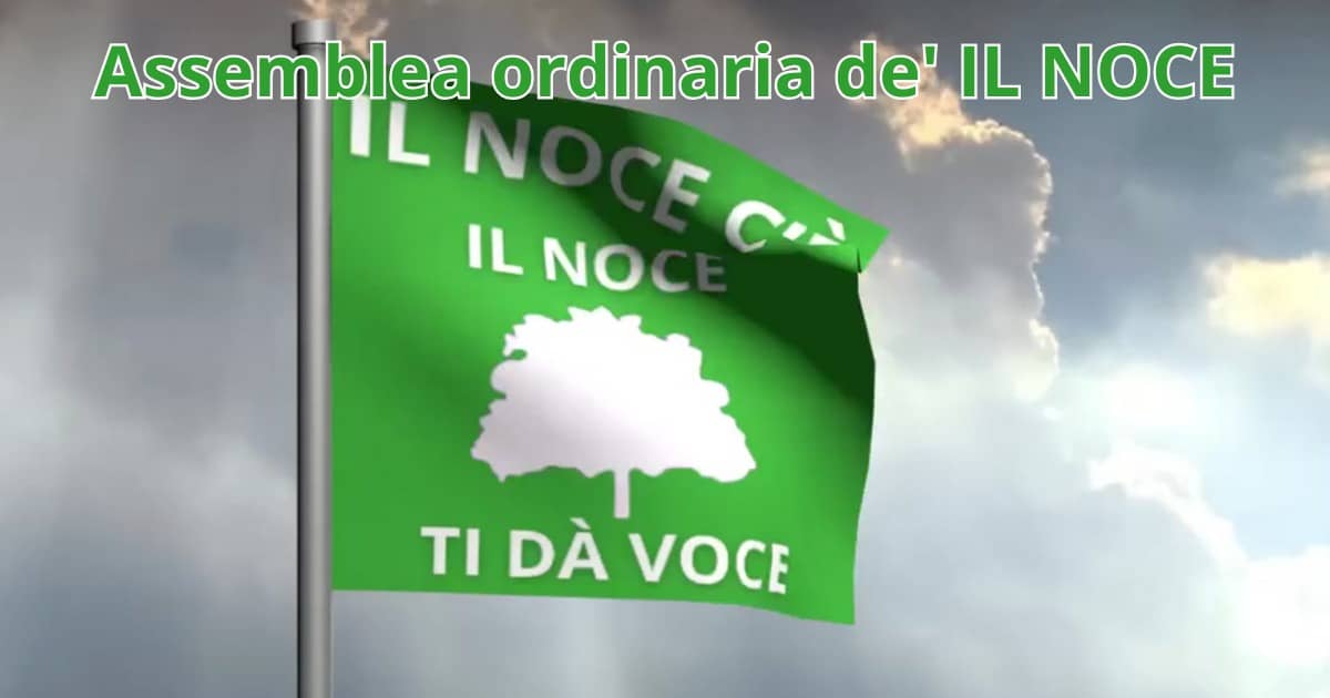 Assemblea ordinaria de’ IL NOCE